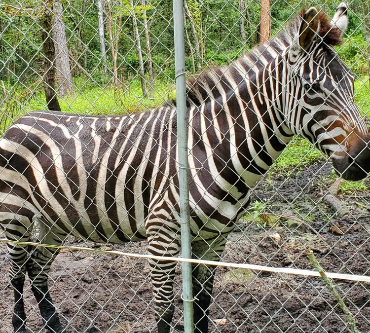Lynnwood Park Zoo (Jacksonville,&nbspNC)